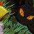 :iconangelkuroshi: