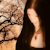 :iconangelladesigns: