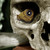 :iconangelofbrokenhearts: