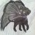 :iconangelofdarkness247: