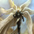 AngelOfDream077 :iconangelofdream077: