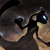 :iconangelofoster13: