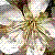 :iconangelofthehearts: