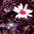 :iconangelofthenght05: