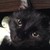:iconangelofthynightmare: