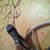 :iconangeloglight: