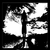 :iconangelotti37: