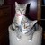 :iconangelpelt: