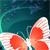 :iconangels-losing-sleep: