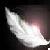 :iconAngels-Nocturne: