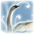 :iconangelsessence: