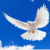 AngelSong107 :iconangelsong107: