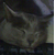 :iconangelsrest: