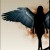 :iconangeltouch16: