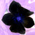 :iconangelus-aureolus: