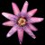 :iconangelw1ngs: