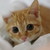 :iconangelwings246: