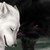 :iconangelwolf95: