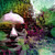 :iconangelx-images-is-art: