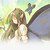 :iconangelxwish: