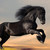 :iconangenoir111: