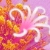 :iconangenoit: