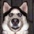 :iconangie-poop: