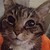:iconangie-werewolf: