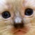 :iconangie123chibi: