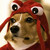 :iconangiefer: