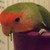 :iconangierobyne: