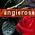 :iconangierose: