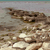 :iconanglelight: