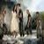 :iconanglia63: