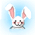:iconAngRa-bbit: