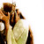 :iconanguirel: