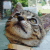 ani-graphs :iconani-graphs: