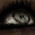 :iconani-mus: