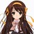 :iconaniladybug: