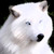 anima-and-watevaelse :iconanima-and-watevaelse: