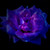 :iconanima-thetruesoul: