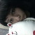 :iconanimaexhalare6: