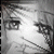 :iconanimagis:
