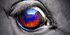 :iconanimal--photos: