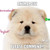 :iconanimal432: