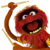 :iconanimalalyn:
