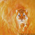 :iconanimalart12: