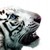:iconanimalatheart: