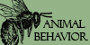 :iconanimalbehavior: