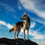 :iconanimalchild: